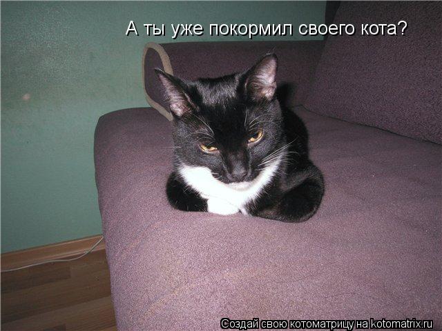А ты уже покормил своего кота?... Котоматрица: А ты уже покормил своего кота?