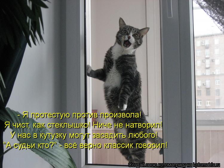 Я чист, как стеклышко! Ниче не натворил! - Я протестую против произвола! У нас в кутузку могут засад... Котоматрица: Я чист, как стеклышко! Ниче не натворил! - Я протестую против произвола! У нас в кутузку могут засадить любого! "А судьи кто?" - всё верно класс