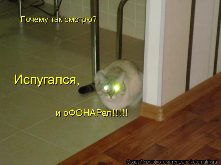 Почему так смотрю? Испугался Испугался, и оФОНАРел!!!!!... Котоматрица: Почему так смотрю? Испугался Испугался, и оФОНАРел!!!!!