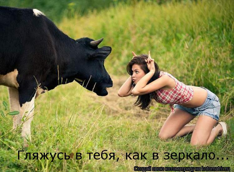 Гляжусь в тебя, как в зеркало...... Котоматрица: Гляжусь в тебя, как в зеркало...