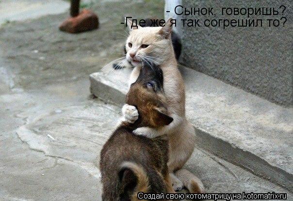 - Сынок, говоришь? -Где же я так согрешил то?... Котоматрица: - Сынок, говоришь? -Где же я так согрешил то?