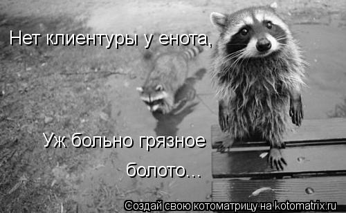 Уж больно грязное болото... Нет клиентуры у енота,... Котоматрица: Уж больно грязное болото... Нет клиентуры у енота,