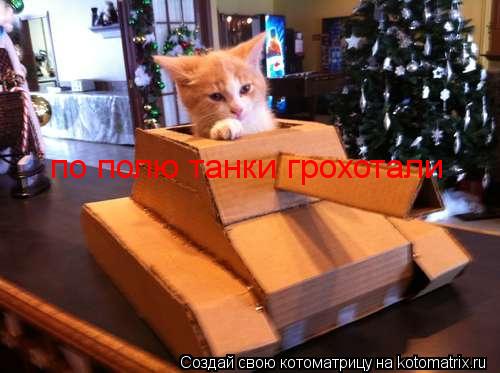 по полю танки грохотали... Котоматрица: по полю танки грохотали