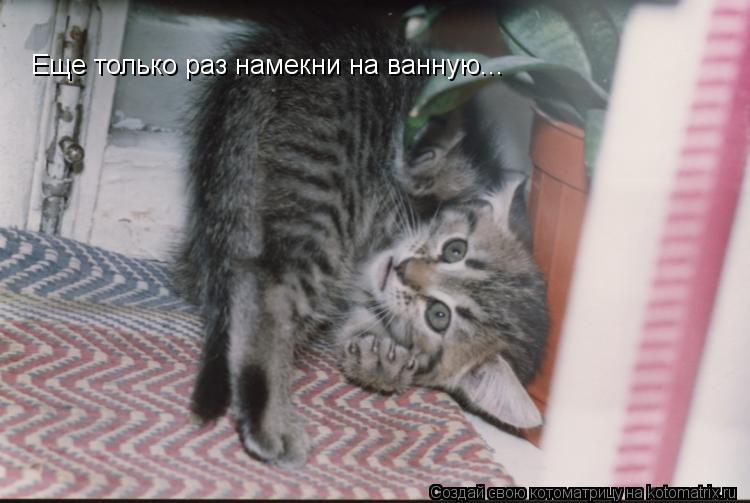 Eще только раз намекни на ванную...... Котоматрица: Eще только раз намекни на ванную...