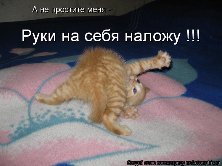 А не простите меня - Руки на себя наложу !!!... Котоматрица: А не простите меня - Руки на себя наложу !!!