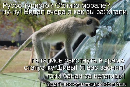Руссо туристо? Облико морале? ну-ну! Видал вчера я как вы зажигали. гони банан за негативы! пытались ... Котоматрица: Руссо туристо? Облико морале? ну-ну! Видал вчера я как вы зажигали. гони банан за негативы! пытались свистнуть в храме статуэтку Шивы! Я вас з