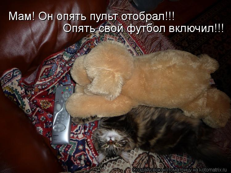 Мам! Он опять пульт отобрал!!! Опять свой футбол включил!!!... Котоматрица: Мам! Он опять пульт отобрал!!! Опять свой футбол включил!!!