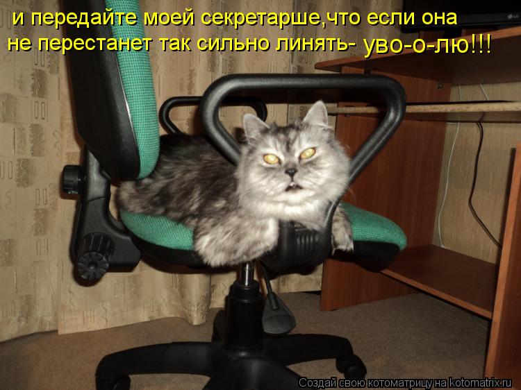 и передайте моей секретарше,что если она не перестанет так сильно линять- уво-о-лю!!!... Котоматрица: и передайте моей секретарше,что если она не перестанет так сильно линять- уво-о-лю!!!