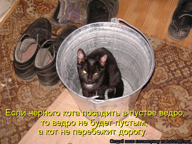 Если чёрного кота посадить в пустое ведро, то ведро не будет пустым, а кот не перебежит дорогу.... Котоматрица: Если чёрного кота посадить в пустое ведро, то ведро не будет пустым, а кот не перебежит дорогу.