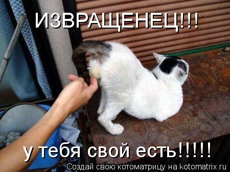 ИЗВРАЩЕНЕЦ!!! у тебя свой есть!!!!!... Котоматрица: ИЗВРАЩЕНЕЦ!!! у тебя свой есть!!!!!