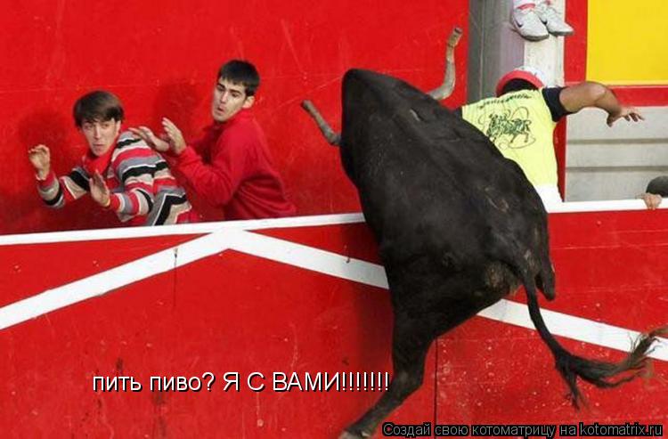 пить пиво? Я С ВАМИ!!!!!!!... Котоматрица: пить пиво? Я С ВАМИ!!!!!!!