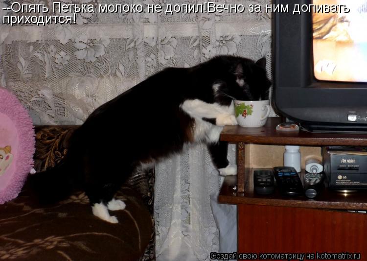 --Опять Петька молоко не допил!Вечно за ним допивать приходится!... Котоматрица: --Опять Петька молоко не допил!Вечно за ним допивать приходится!