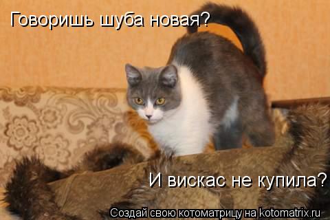 Говоришь шуба новая? Говоришь шуба новая? И вискас не купила?... Котоматрица: Говоришь шуба новая? Говоришь шуба новая? И вискас не купила?