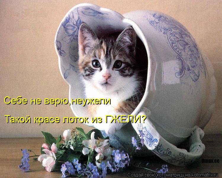 Себе не верю,неужели Такой красе лоток из ГЖЕЛИ?... Котоматрица: Себе не верю,неужели Такой красе лоток из ГЖЕЛИ?