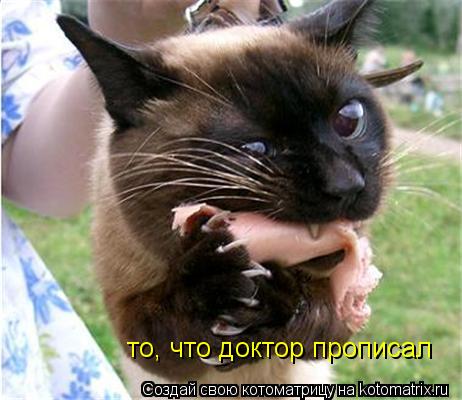 то, что доктор прописал... Котоматрица: то, что доктор прописал