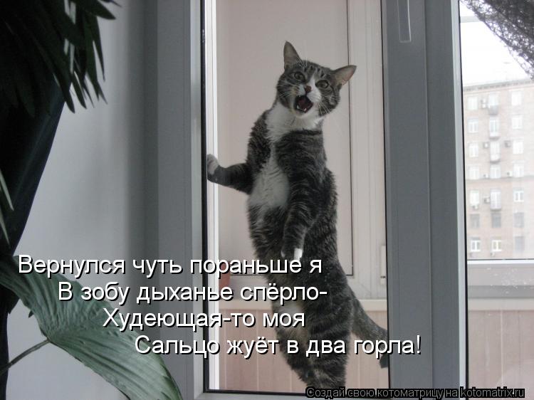Вернулся чуть пораньше я В зобу дыханье спёрло- Худеющая-то моя Сальцо жуёт в два горла!... Котоматрица: Вернулся чуть пораньше я В зобу дыханье спёрло- Худеющая-то моя Сальцо жуёт в два горла!