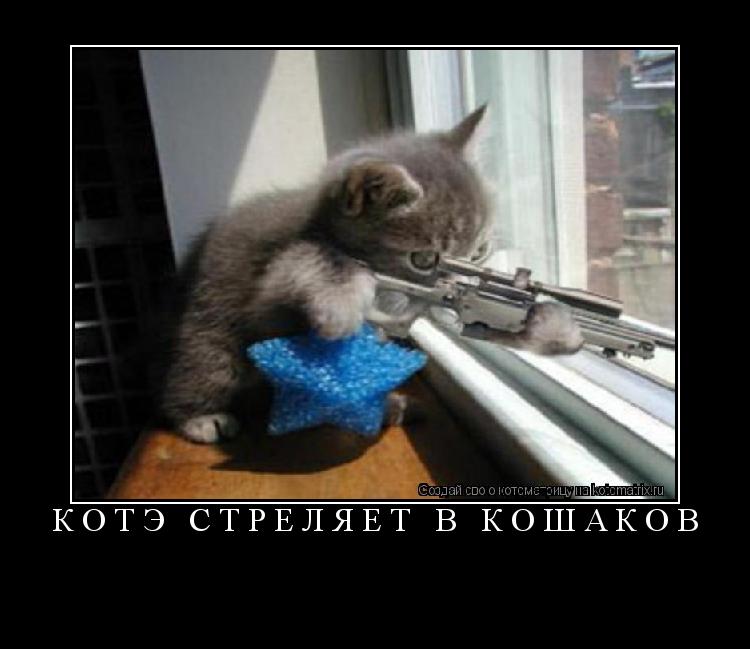 Котэ стреляет в кошаков ... Котоматрица: Котэ стреляет в кошаков