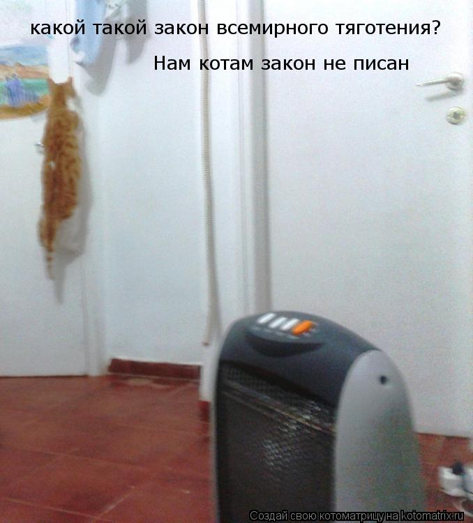 какой такой закон всемирного тяготения? Нам котам закон не писан... Котоматрица: какой такой закон всемирного тяготения? Нам котам закон не писан