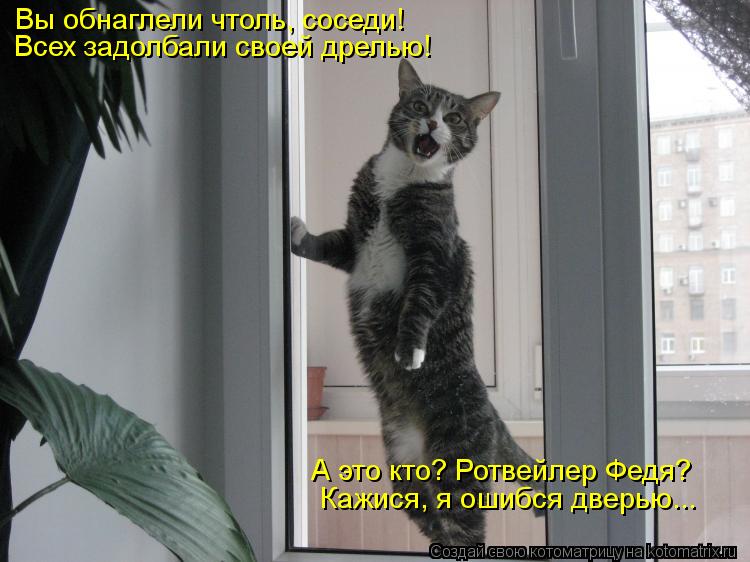 Вы обнаглели чтоль, соседи! Всех задолбали своей дрелью! А это кто? Ротвейлер Федя? Кажися, я ошибся ... Котоматрица: Вы обнаглели чтоль, соседи! Всех задолбали своей дрелью! А это кто? Ротвейлер Федя? Кажися, я ошибся дверью...