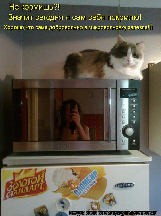 Не кормишь?! Значит сегодня я сам себя покрмлю! Хорошо,что сама добровольно в микроволновку залезла!!... Котоматрица: Не кормишь?! Значит сегодня я сам себя покрмлю! Хорошо,что сама добровольно в микроволновку залезла!!!