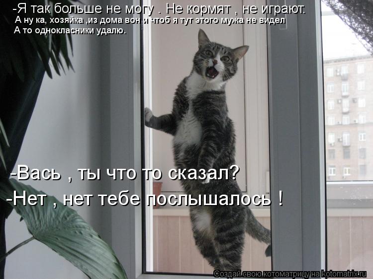 -Я так больше не могу . Не кормят , не играют. А ну ка, хозяйка ,из дома вон и чтоб я тут этого мужа ... Котоматрица: -Я так больше не могу . Не кормят , не играют. А ну ка, хозяйка ,из дома вон и чтоб я тут этого мужа не видел А то однокласники удалю. -Вась , ты чт