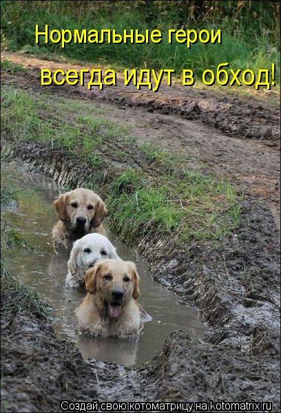 Нормальные герои всегда идут в обход!... Котоматрица: Нормальные герои всегда идут в обход!