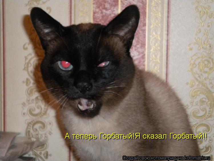 А теперь Горбатый!Я сказал Горбатый!!... Котоматрица: А теперь Горбатый!Я сказал Горбатый!!