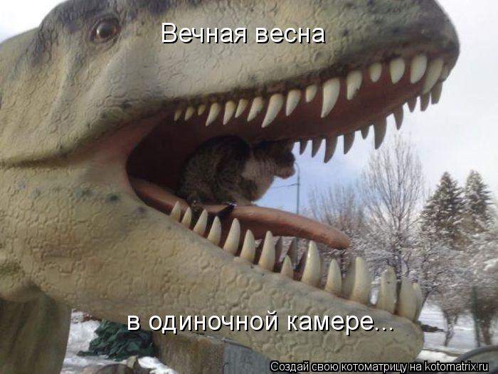 Вечная весна в одиночной камере...... Котоматрица: Вечная весна в одиночной камере...