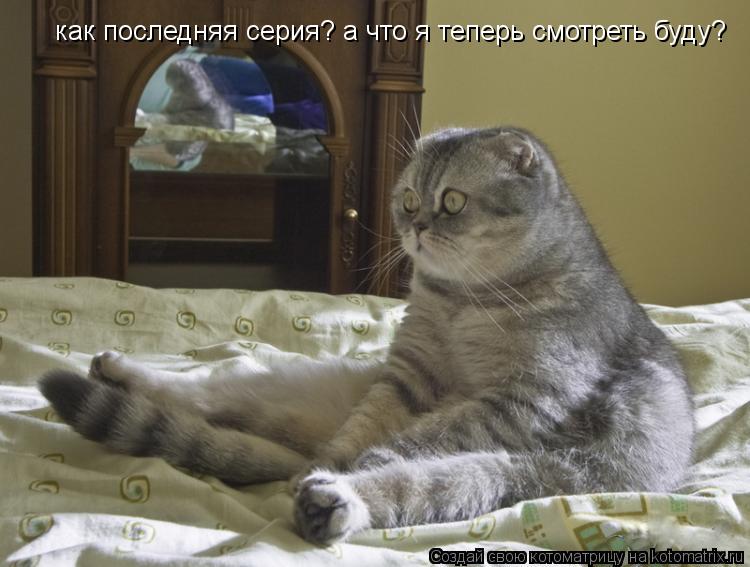 как последняя серия? а что я теперь смотреть буду?... Котоматрица: как последняя серия? а что я теперь смотреть буду?