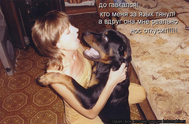 до гавкался! кто меня за язык тянул! а вдруг она мне реально нос откусит!!!!!... Котоматрица: до гавкался! кто меня за язык тянул! а вдруг она мне реально нос откусит!!!!!