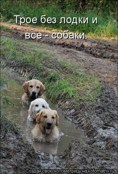Трое без лодки и все - собаки.... Котоматрица: Трое без лодки и все - собаки.
