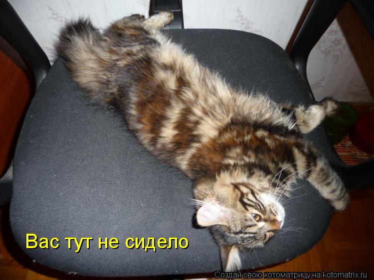 Вас тут не сидело... Котоматрица: Вас тут не сидело