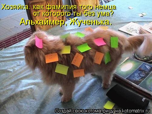 Хозяйка. как фамилия того немца от которого ты без ума? Альхаймер, Жученька.... Котоматрица: Хозяйка. как фамилия того немца от которого ты без ума? Альхаймер, Жученька.