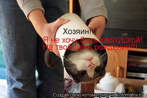 Хозяин!!! Я не хочу быть хлопушкой! На твой день рождение!!!... Котоматрица: Хозяин!!! Я не хочу быть хлопушкой! На твой день рождение!!!
