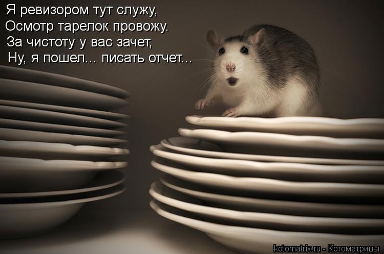 Я ревизором тут служу, Осмотр тарелок провожу. За чистоту у вас зачет, Ну, я пошел... писать отчет...... Котоматрица: Я ревизором тут служу, Осмотр тарелок провожу. За чистоту у вас зачет, Ну, я пошел... писать отчет...