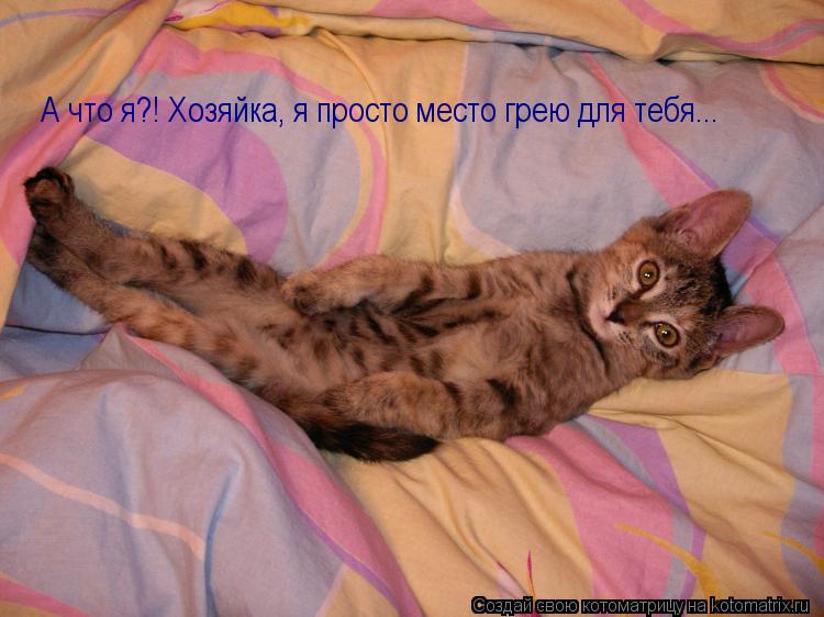 А что я?! Хозяйка, я просто место грею для тебя...... Котоматрица: А что я?! Хозяйка, я просто место грею для тебя...