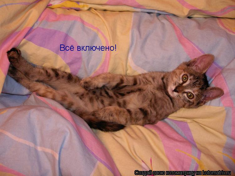 Всё включено!... Котоматрица: Всё включено!