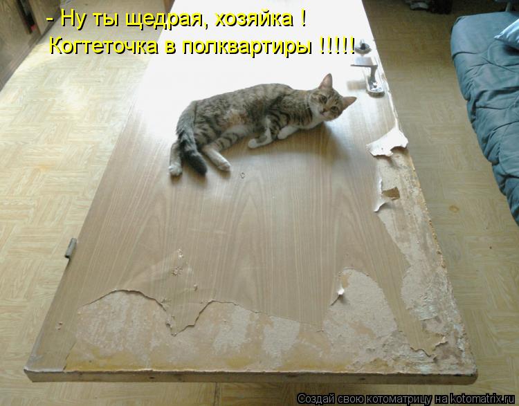 - Ну ты щедрая, хозяйка ! Когтеточка в полквартиры !!!!!... Котоматрица: - Ну ты щедрая, хозяйка ! Когтеточка в полквартиры !!!!!