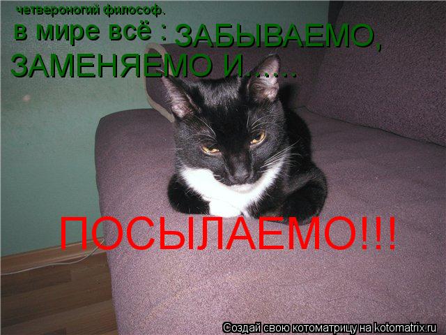 в мире всё : ЗАБЫВАЕМО, ЗАМЕНЯЕМО И...... ПОСЫЛАЕМО!!! четвероногий философ.... Котоматрица: в мире всё : ЗАБЫВАЕМО, ЗАМЕНЯЕМО И...... ПОСЫЛАЕМО!!! четвероногий философ.