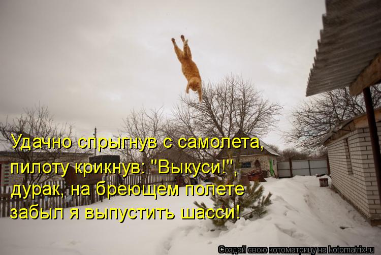 Удачно спрыгнув с самолета, дурак, на бреющем полете забыл я выпустить шасси! пилоту крикнув: "Выкуси... Котоматрица: Удачно спрыгнув с самолета, дурак, на бреющем полете забыл я выпустить шасси! пилоту крикнув: "Выкуси!",