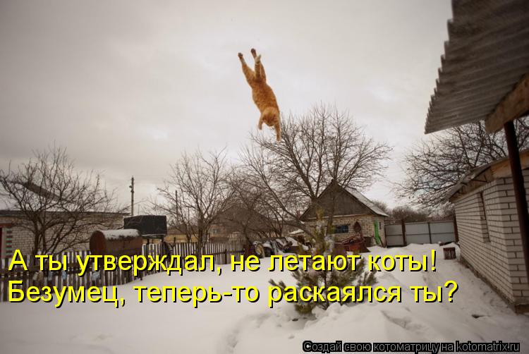 А ты утверждал, не летают коты! Безумец, теперь-то раскаялся ты?... Котоматрица: А ты утверждал, не летают коты! Безумец, теперь-то раскаялся ты?