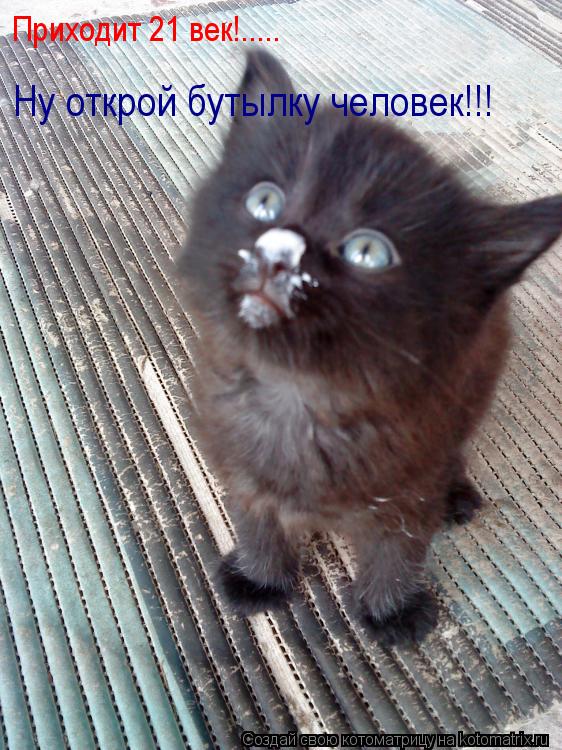 Приходит 21 век!..... Ну открой бутылку человек!!!... Котоматрица: Приходит 21 век!..... Ну открой бутылку человек!!!