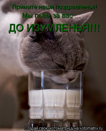Примите наши поздравленья! Мы пьём за вас ... ДО ИЗУМЛЕНЬЯ!!!... Котоматрица: Примите наши поздравленья! Мы пьём за вас ... ДО ИЗУМЛЕНЬЯ!!!