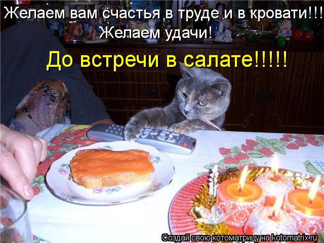 Желаем вам счастья в труде и в кровати!!! Желаем удачи! До встречи в салате!!!!!... Котоматрица: Желаем вам счастья в труде и в кровати!!! Желаем удачи! До встречи в салате!!!!!
