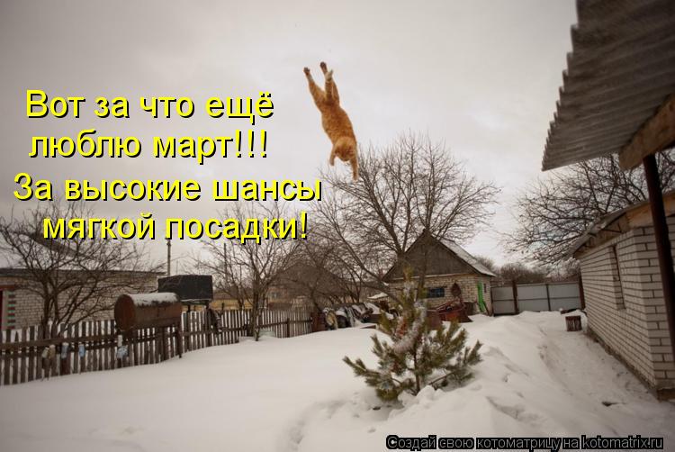 люблю март!!! Вот за что ещё За высокие шансы мягкой посадки!... Котоматрица: люблю март!!! Вот за что ещё За высокие шансы мягкой посадки!
