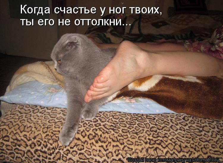 Когда счастье у ног твоих, ты его не оттолкни...... Котоматрица: Когда счастье у ног твоих, ты его не оттолкни...
