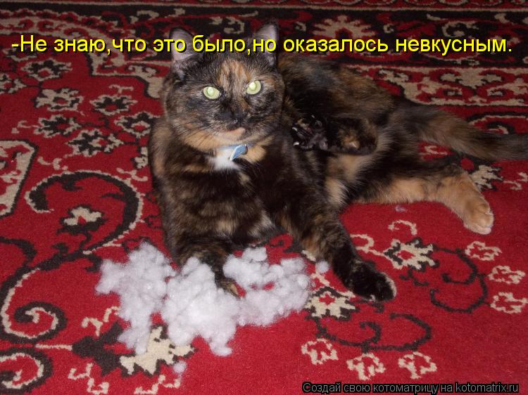 -Не знаю,что это было,но оказалось невкусным.... Котоматрица: -Не знаю,что это было,но оказалось невкусным.