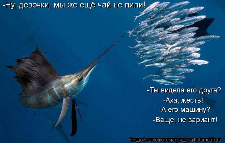 -Ну, девочки, мы же ещё чай не пили! -Ты видела его друга? -Аха, жесть! -А его машину? -Ваще, не вари... Котоматрица: -Ну, девочки, мы же ещё чай не пили! -Ты видела его друга? -Аха, жесть! -А его машину? -Ваще, не вариант!