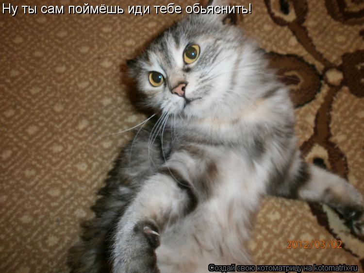 Ну ты сам поймёшь иди тебе обьяснить!... Котоматрица: Ну ты сам поймёшь иди тебе обьяснить!