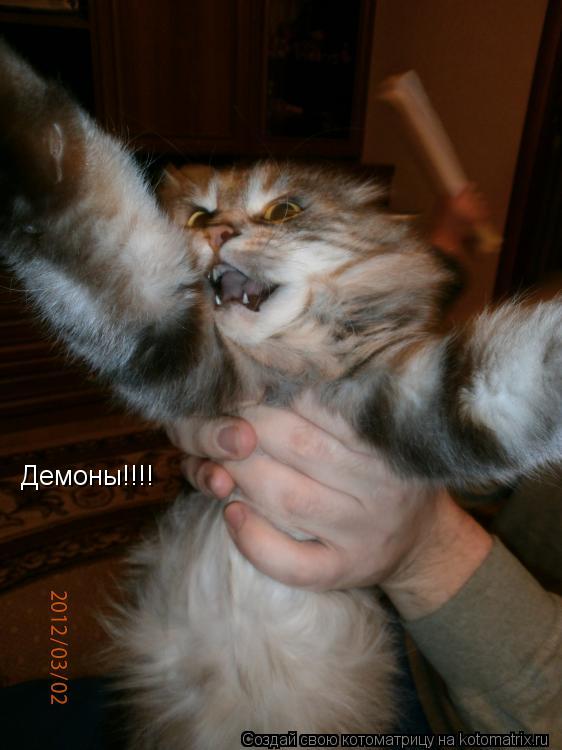 Демоны!!!!... Котоматрица: Демоны!!!!
